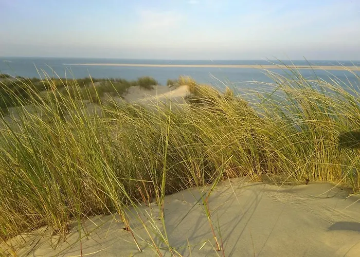Apartament Les Dunes Gujan-Mestras